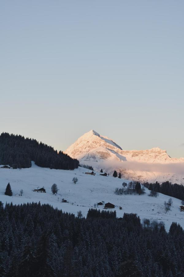 Chez Nonna - Charmant Demi-Chalet A La Montagne Notre-Dame-de-Bellecombe Extérieur photo